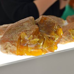 Янтарный комбинат выставит на онлайн-аукцион более 50 лотов редкого янтаря