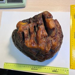В Карьере Янтарного комбината обнаружена "Голова тигра" весом 2,7 кг