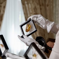 70 лотов с редкими камнями выставят на единственном в мире аукционе уникального янтаря