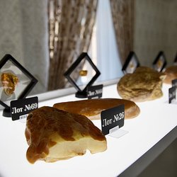70 лотов с редкими камнями выставят на единственном в мире аукционе уникального янтаря