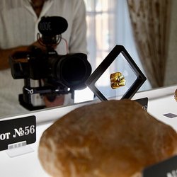 70 лотов с редкими камнями выставят на единственном в мире аукционе уникального янтаря