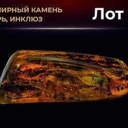 Янтарный комбинат Ростеха выставит на продажу 20 редких инклюзов