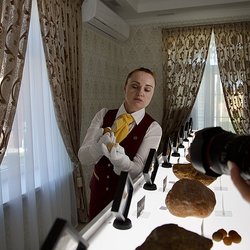 70 лотов с редкими камнями выставят на единственном в мире аукционе уникального янтаря