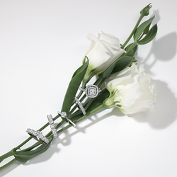 BERLIANI JEWELRY & DIAMONDS