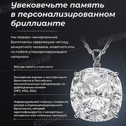 Диамори, ООО