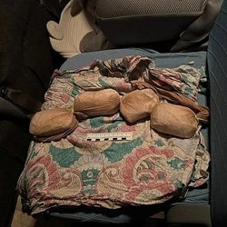 Золото в детской люльке: житель Хабаровского края пойдет под суд за провоз драгметаллов на 34 млн рублей