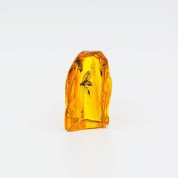 Первый аукцион эксклюзивного янтаря пройдет в онлайн-формате