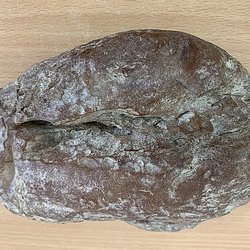 Добыты килограммовые янтарные самородки Олимпиец , Парашют и Ювелир