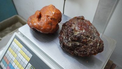 Второй случай в истории: На Янтарном комбинате добыли два самородка подряд