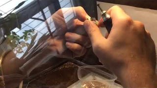 Производство ювелирных изделий Голден Глоб
