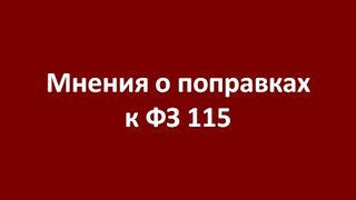 Мнения о ФЗ 115 (видео)