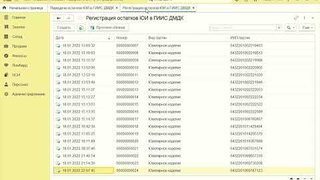 ГИИС ДМДК: 1С Рарус. Ювелирная розница. Часть 1: Передача остатков и регистрация ЮИ