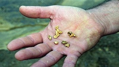 Губернатор Владимир Печеный снова поднял вопрос о вольном приносе золота