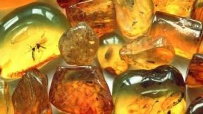 Упрощение порядка вывоза янтарной продукции назрело
