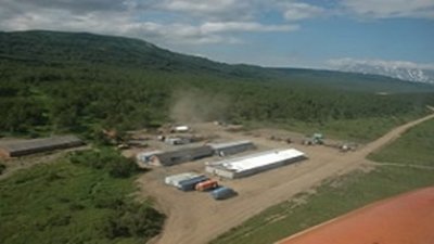 Первый квартал Trans-Siberian Gold оказался регрессивным