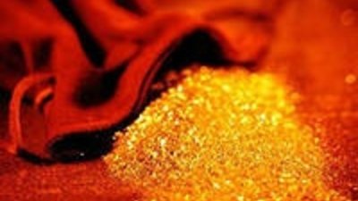 "Дальгеофизика" оценит золотые перспективы в Хабаровском крае