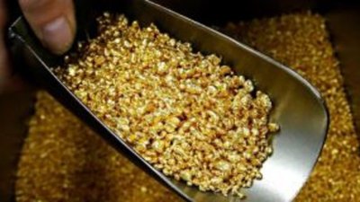 Объем добычи золота в Якутии может первысить 26 тонн