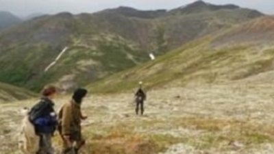 Тонна руды «Каменного Пика» содержат до 29 граммов золота