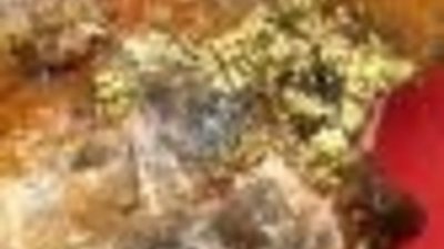 На Колыме пройдут совещания по подготовке к промсезону