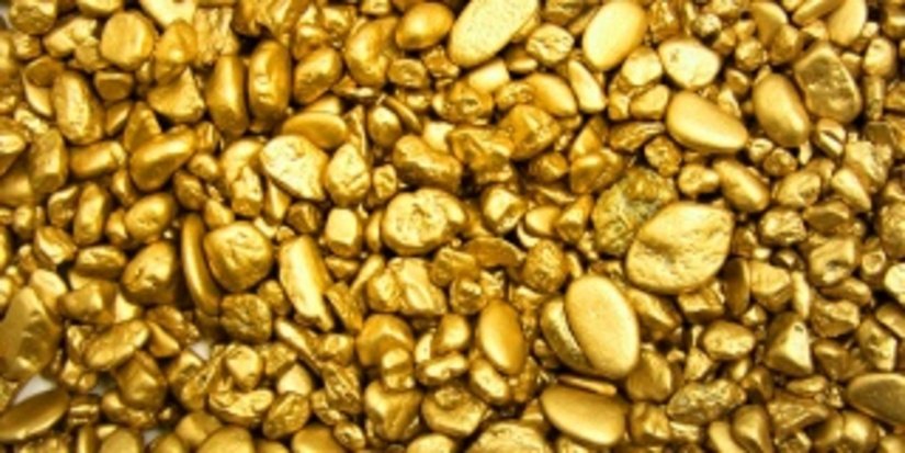 Гендиректор забайкальской артели обвиняется в хищении 3 кг золота