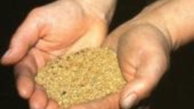 Старатели предложили Минприроды РФ меры по увеличению добычи золота