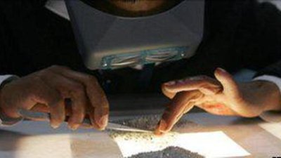 Добывающая компания предполагает наличие алмазоносных кимберлитовых структур в Ботсване