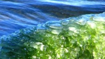 Gemfields наращивает объем добычи изумрудов в Замбии