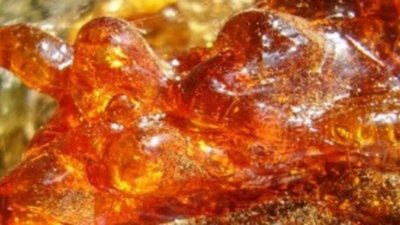 Московская компания займется организацией форума Amber World