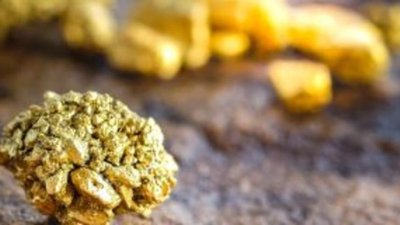 Вновь золото манит нас: как купить бизнес по золотодобыче