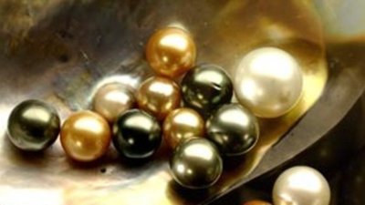 В Междуреченске среди бела дня обворован ювелирный магазин