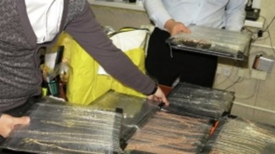 В Костромской области полицейские перекрыли крупный канал поставки в регион поддельных ювелирных изделий