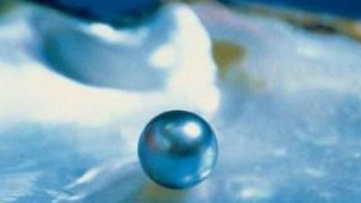 Казахстан: получен первый урожай речного жемчуга