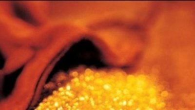 Курс акций ювелирных компаний на индийской фондовой бирже взлетел после отмены ограничений на импорт золота