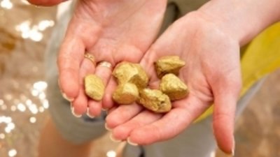 На Камчатке предстоит построить пять рудников
