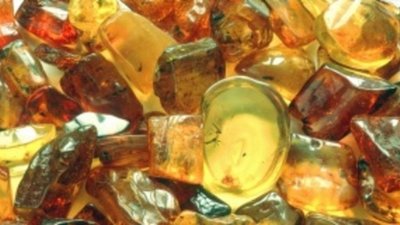 На проведение выставки Amber World выделили более 11 млн рублей