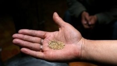 Монголия легализует нелегальных старателей