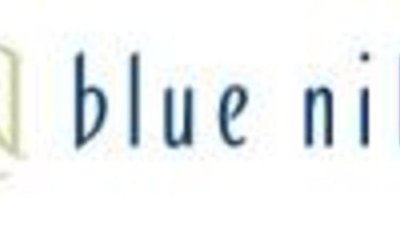 Акции ювелирной компании Blue Nile упали