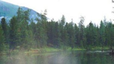 Золотодобыча в заказнике на Алтае лишит воды два района Новосибирской области - экологи