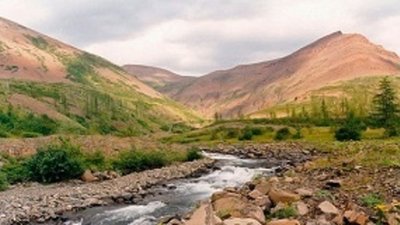 220 тонн платиноидов - ежегодный потенциал Таймыра