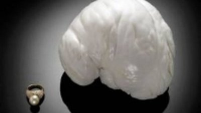 В США продадут жемчужину весом 2 кг