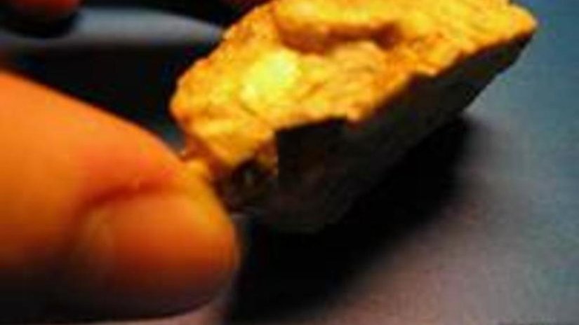 Житель Бурятии вынес с рудника золото на «сувенир»