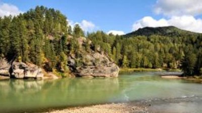 Золотодобыча Алтая выросла на 52%