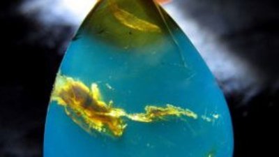 Тайны доминиканского голубого янтаря