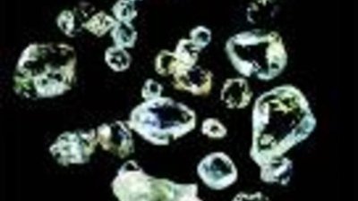 "Алроса" приняла решение не выплачивать дивиденды по итогам 2008 года