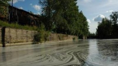 Золотодобытчик загрязнял реку