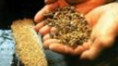 Двое мужчин пытавлись сбыть 3,7 кг золота