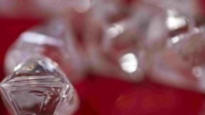 Кровавые алмазы: В Якутии на карьере АЛРОСА до смерти забили пса