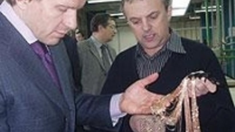 ОАО «Красцветмет» единственное в России предприятие вяжущее цепи из платины и палладия
