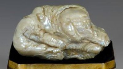 Самую крупную в мире жемчужину продали на аукционе за $374 тыс.