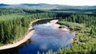 Амурская область заняла второе место по добыче золота